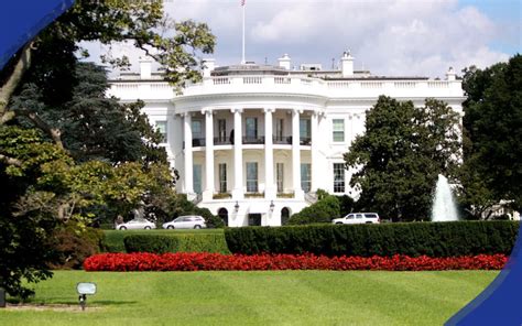 bovada election